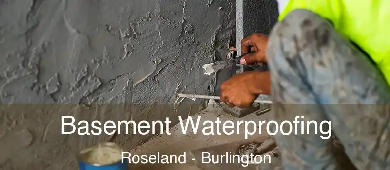 Basement Waterproofing Roseland - Burlington