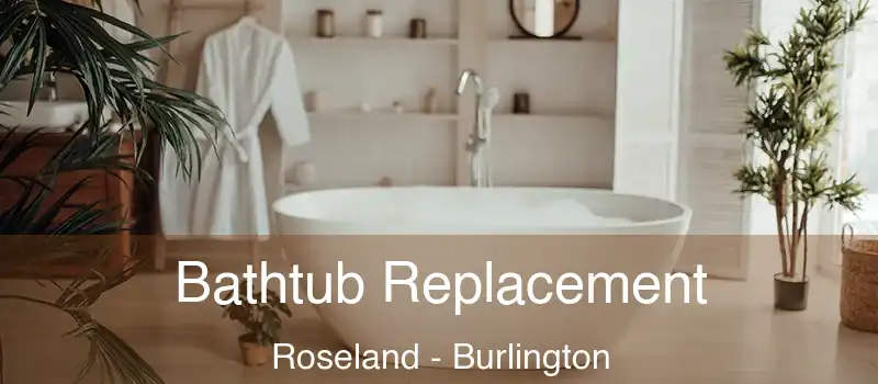 Bathtub Replacement Roseland - Burlington