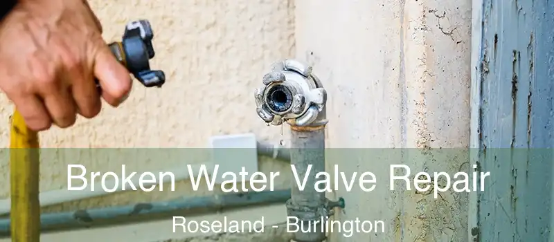 Broken Water Valve Repair Roseland - Burlington
