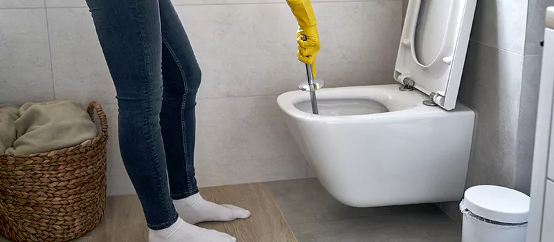 Toilet Flush Valve Installation Services in Roseland, Burlington