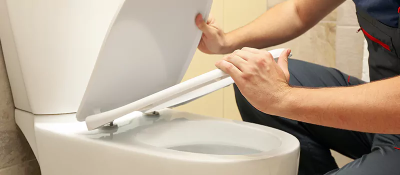 Damaged Toilet Parts Replacement Services in Roseland, Burlington