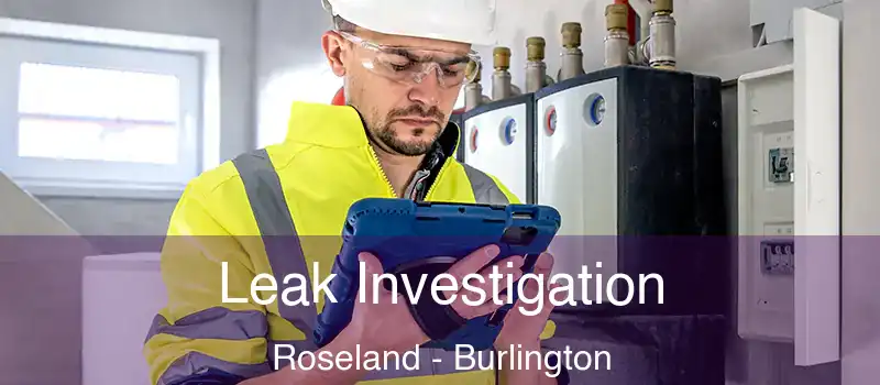 Leak Investigation Roseland - Burlington