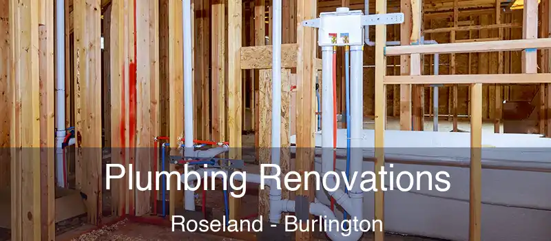 Plumbing Renovations Roseland - Burlington