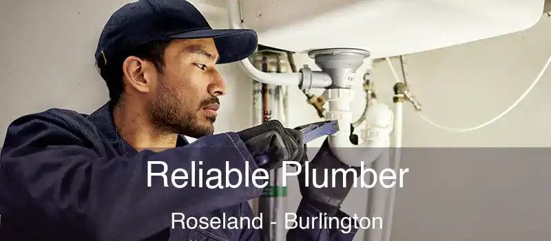  Reliable Plumber Roseland - Burlington