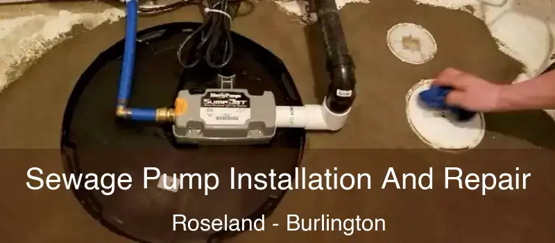 Sewage Pump Installation And Repair Roseland - Burlington