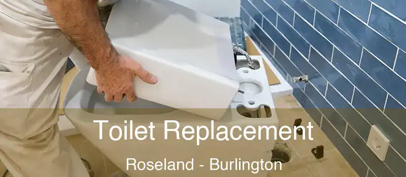 Toilet Replacement Roseland - Burlington