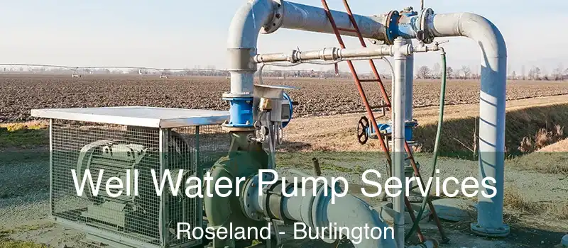 Well Water Pump Services Roseland - Burlington